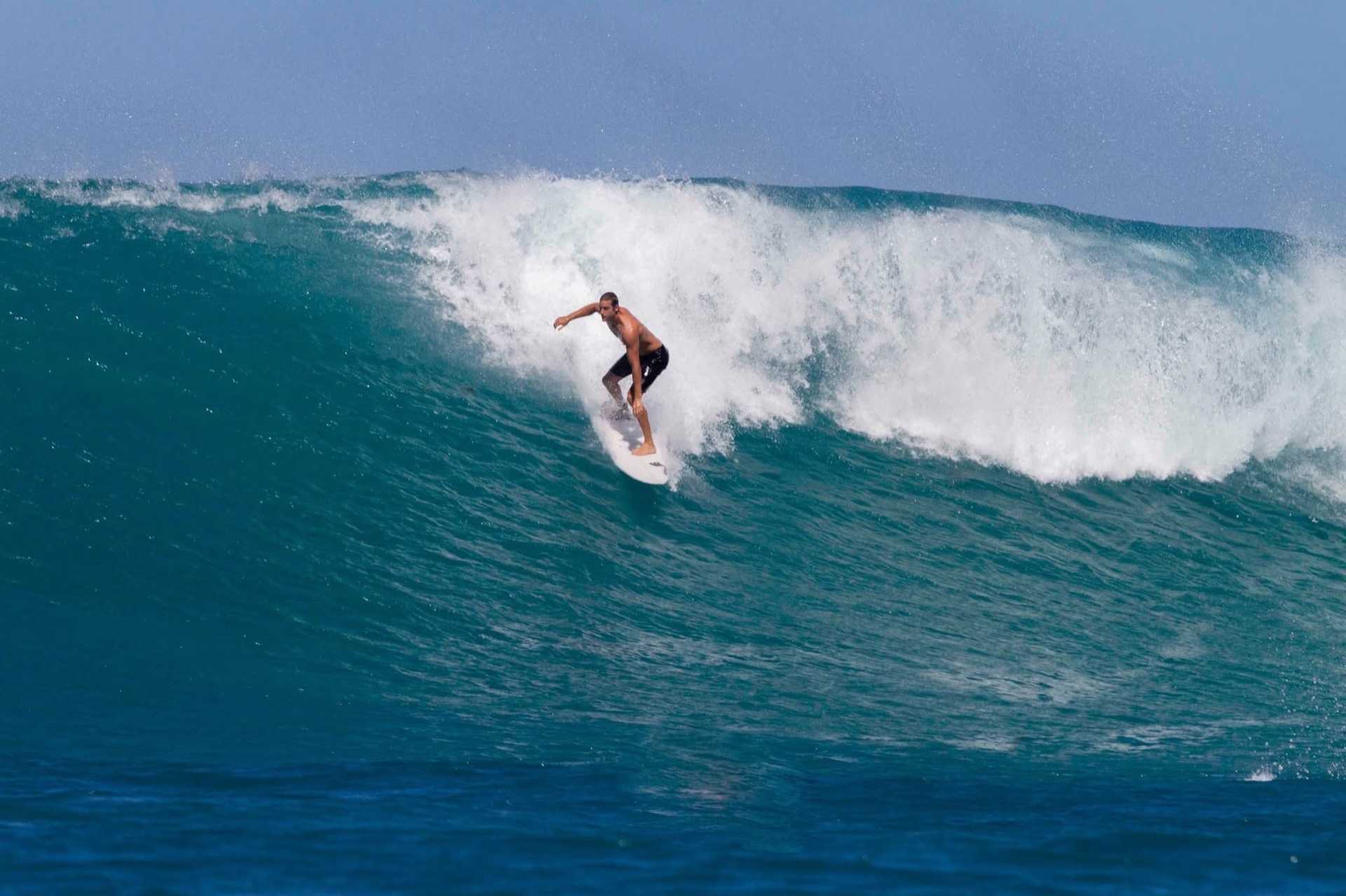 Mark Poli surfing in Isabela, Puerto Rico